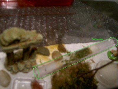 Haltungsbericht 002.jpg