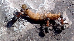 270320111183 - Kopie.jpg