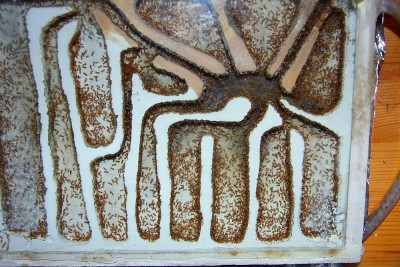 Lasius flavus Nest.JPG