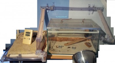 Camponotus nigriceps komplette Anlage / nigriceps_Anlage_1.jpg nigriceps_Anlage_1.jpg