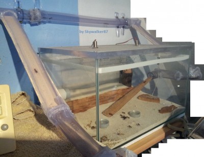 Camponotus nigriceps komplette Anlage / nigriceps_Anlage_2.jpg nigriceps_Anlage_2.jpg