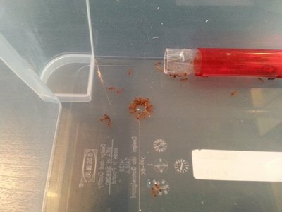 Wir warten auf das neue Zuhause :) / 20150917_191225.jpg 20150917_191225.jpg