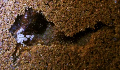 Nest 13. Tag (b).jpg