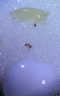 Tag 31. Arbeiterin gekrümmt.jpg