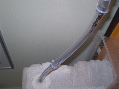 Ansicht zum Ytong.jpg