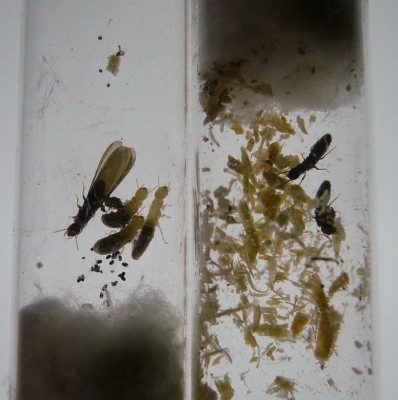 P1190602 copy web.jpg