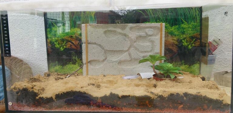 so richtig?? bitte pn!