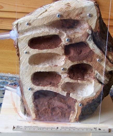 Holznest