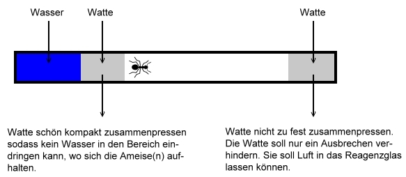 Reagenzglas - Schema