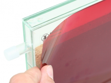 ANTSTORE - Ameisenshop - Ameisen kaufen - ANTCUBE - Rote Folie 20x10 -  selbstklebend