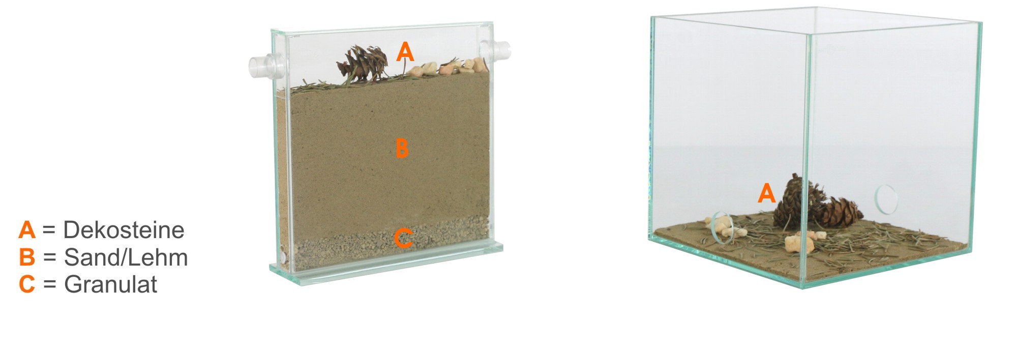 ANTSTORE - Ameisenshop - Ameisen kaufen - Bodengrund für Formicarien und  Terrarien